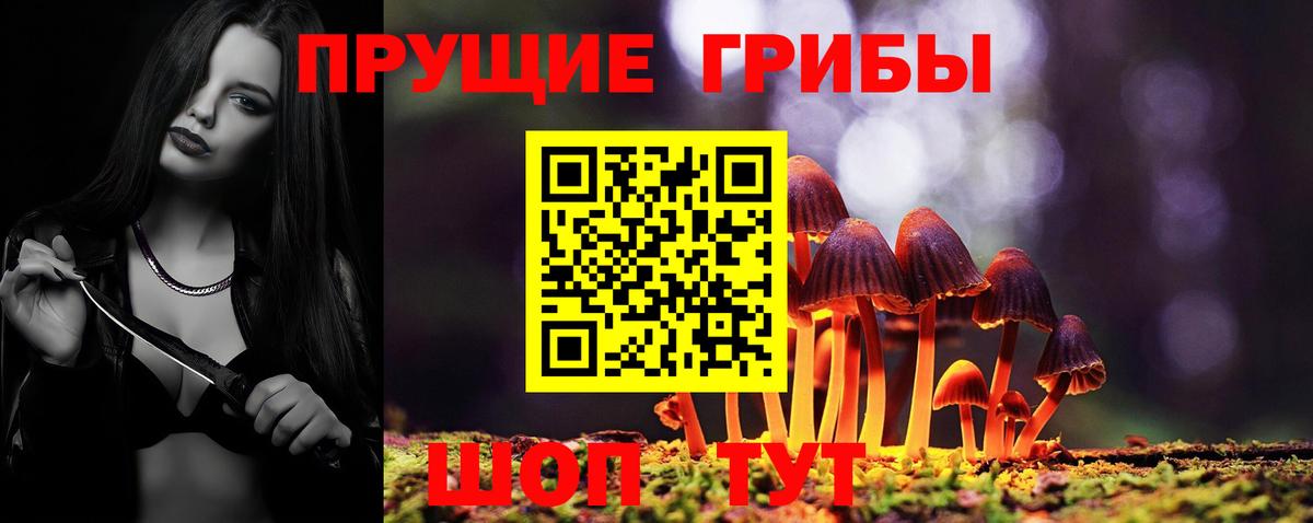 Ачинск  Псилоцибиновые грибы прущие грибы  Вход с VPN 